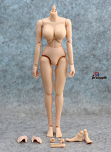 00 12寸人偶 1/6女兵人素体 tc ttl大胸小胸款女素体 非包胶非phicen