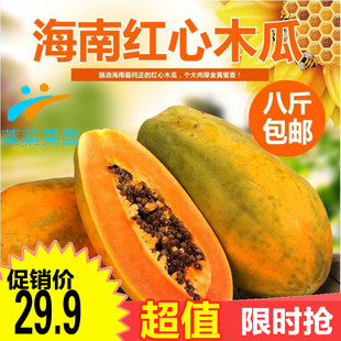 柑橘芦柑皇帝柑贡柑新鲜桔子蜜桔橘子水果椪柑