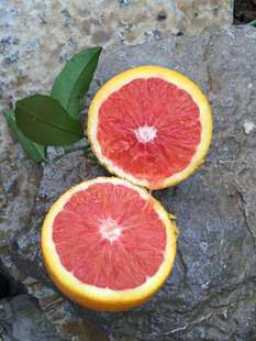 新鲜水果橙子非赣南脐橙包邮红肉脐橙血橙4斤