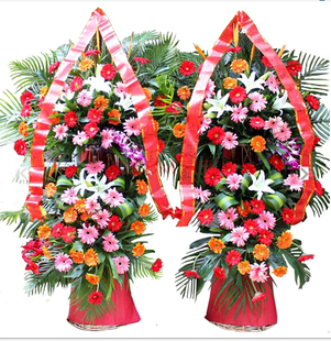 乃馨鲜花母亲节生日遂宁市船山安居蓬溪射洪大