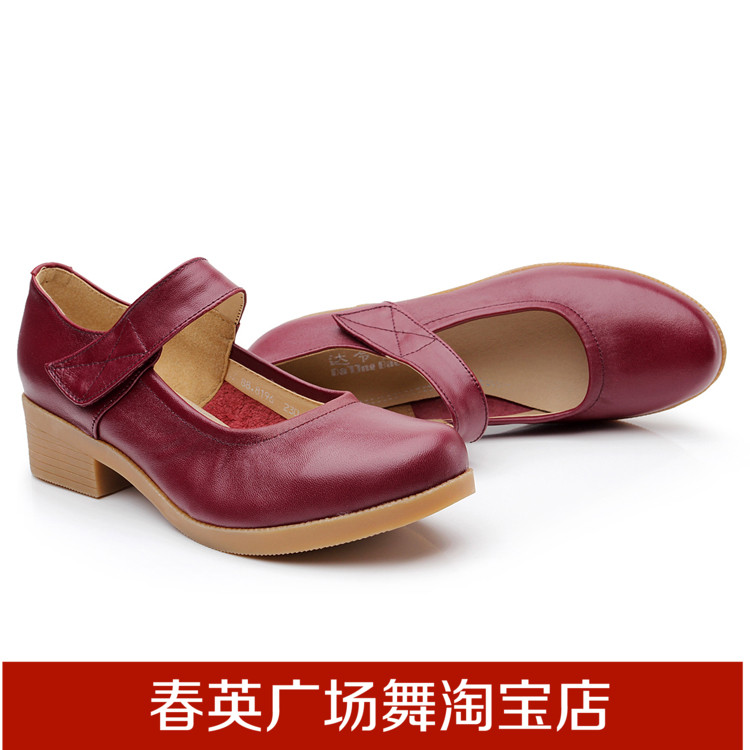 

Обувь для танцев Deshu 2014 3.7