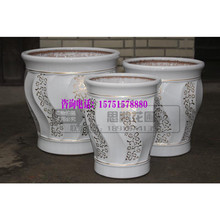 【金钱树花盆】_金钱树花盆图片