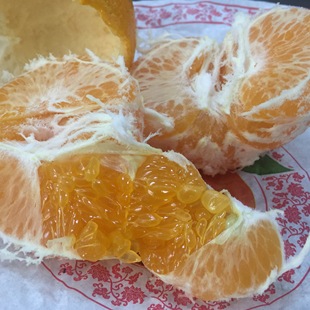 蒲江春见丑柑耙耙柑不知火新鲜水果非爱媛38