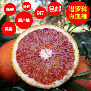 预售血橙新鲜水果秭归脐橙红肉超赣南75-85精
