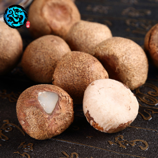 刷金刚菩提子电动工具猪鬃刷打孔去皮套装充电