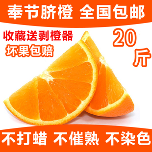 包邮重庆奉节脐橙5斤装精选果非柑橘非九月红