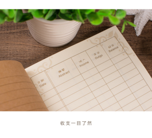 收入支出账目表格图_家庭收入支出明细(3)