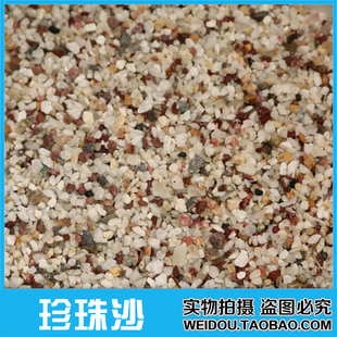 精猪八戒和高老庄经典动漫珍藏版孙悟空拜师第