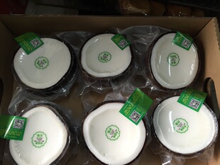 成都今天到菲诺椰子冻2个黄金椰粒泰国全奶新