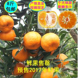 台湾特产茂谷柑沃柑芦柑桔子柑橘子新鲜现摘农