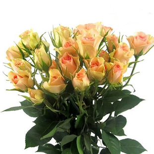 1瓶郝穴网络超市郝穴同城满66元包邮百岁山饮