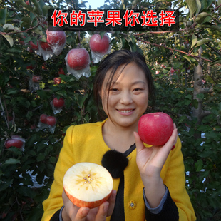 制天然降霜柿饼野生柿子甜软非富平柿饼1斤包