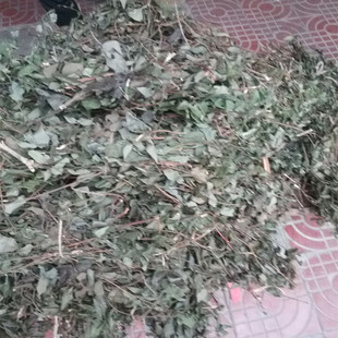 清仪坊中药修复精华液修复激素依赖皮炎过敏敏