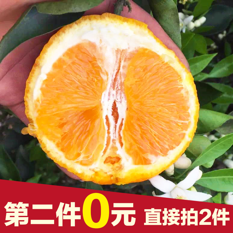 现摘青见新鲜水果特产四川柑橘好吃的橘子不上