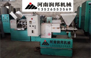美国矮油葵三系杂交种子大头矮杆油用向日葵高cj10交流接触器接线图图片