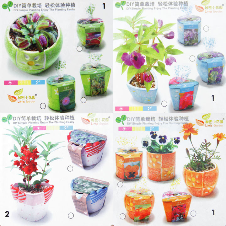 室内植物绿百家乐官网链接化设计pptx