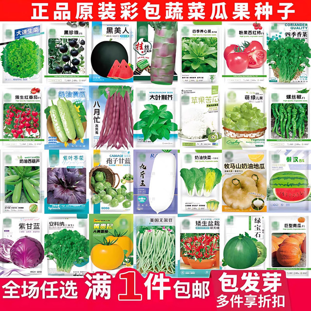 Vegetable seeds, coriander, tomato, pepper, spinach, cucumber, rapeseed, lettuce, radish and cabbage, sowing seeds in all seasons Vegetable seeds, coriander, tomato, pepper, spinach, cucumber, rapeseed, lettuce, radish and cabbage, sowing seeds in all seasons