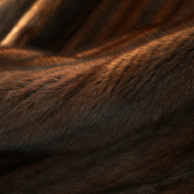 2025 new style imported native mink from North America with full drawstring short V-neck mink coat young style fur lantern sleeves 2025 new style imported native mink from North America with full drawstring short V-neck mink coat young style fur lantern sleeves