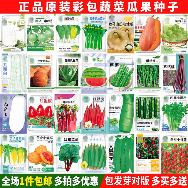 Vegetable seeds, coriander, tomato, pepper, spinach, cucumber, rapeseed, lettuce, radish and cabbage, sowing seeds in all seasons Vegetable seeds, coriander, tomato, pepper, spinach, cucumber, rapeseed, lettuce, radish and cabbage, sowing seeds in all seasons