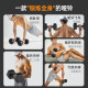 Li Ning dumbbell children's primary school boys' children's youth fitness home equipment 2kg 3kg 4kg 5kg pair Li Ning dumbbell children's primary school boys' children's youth fitness home equipment 2kg 3kg 4kg 5kg pair