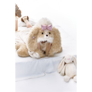 Yang Erda Meng plush puppy home clothes Yang Erda Meng plush puppy home clothes
