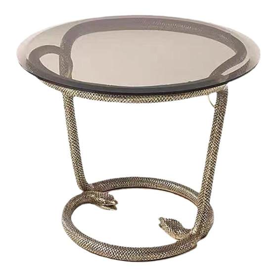 Pure copper snake head side several modern simple tempered glass corner several villa luxury house designer living room small tea table
Pure copper snake head side several modern simple tempered glass corner several villa luxury house designer living room small tea table