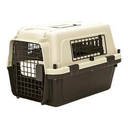 Air China pet air box cat out of the cage Air China pet air box cat out of the cage