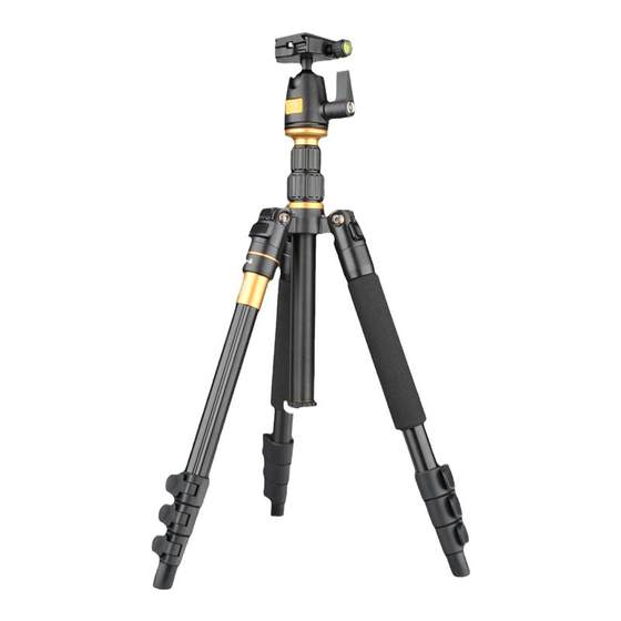 Lightweight era Q555 SLR camera tripod mobile anchor live support frame Douyin internet celebrity portable tripod live support stand photography photo gimbal photography micro separate pod
Lightweight era Q555 SLR camera tripod mobile anchor live support frame Douyin internet celebrity portable tripod live support stand photography photo gimbal photography micro separate pod