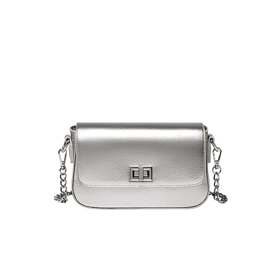 15mins bag women's 2025 new silver chain bag women's crossbody bag high-end women's bag summer shoulder bag 
15mins bag women's 2025 new silver chain bag women's crossbody bag high-end women's bag summer shoulder bag