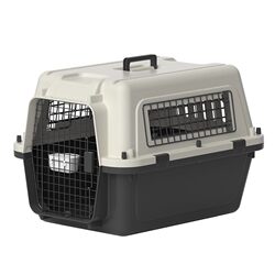 Air China Standard-Checkable Pet Air Box Air China Standard-Checkable Pet Air Box