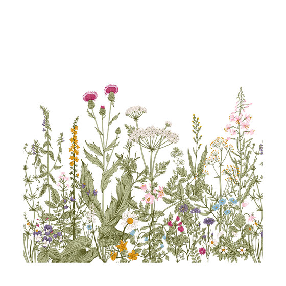 Kitchen glass anti-peeping film French retro floral decoration bathroom toilet transparent and unobstructed with static stickers Kitchen glass anti-peeping film French retro floral decoration bathroom toilet transparent and unobstructed with static stickers