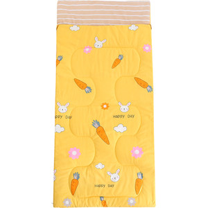 Students in the lunch break, sleeping bags spring, autumn and winter, thickened cold prevention and cold -proof adult children's small and medium -sized children's office Students in the lunch break, sleeping bags spring, autumn and winter, thickened cold prevention and cold -proof adult children's small and medium -sized children's office