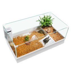 Glass turtle tank with balcony in villa rearing box Glass turtle tank with balcony in villa rearing box