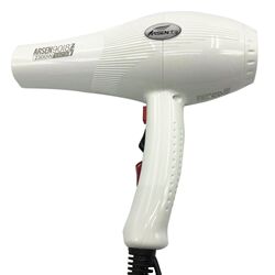 Aisin 9018 accelerated high wind hair dryer Aisin 9018 accelerated high wind hair dryer