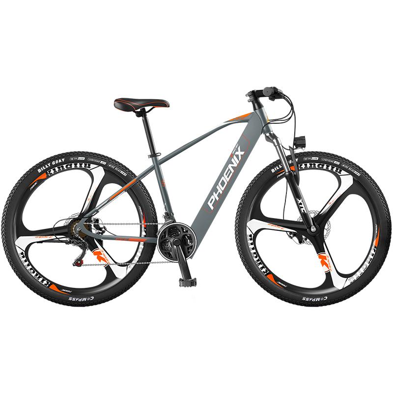 PHOENIX 電動自転車 Phoenix電動自転車 - リチウムバッテリー - マウンテンバイク