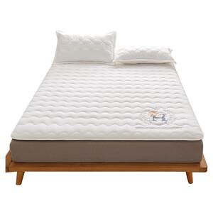 Class A student dormitory mattress thin single-person college student residence special soft cushion 90x190 high school student bedding 
Class A student dormitory mattress thin single-person college student residence special soft cushion 90x190 high school student bedding