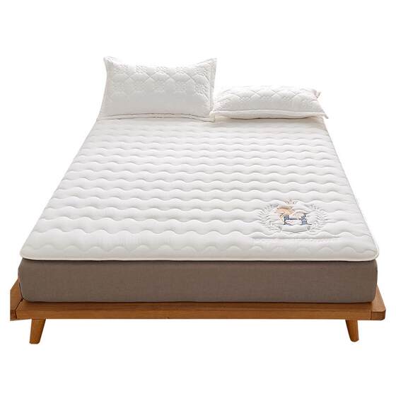Class A student dormitory mattress thin single-person college student residence special soft cushion 90x190 high school student bedding 
Class A student dormitory mattress thin single-person college student residence special soft cushion 90x190 high school student bedding