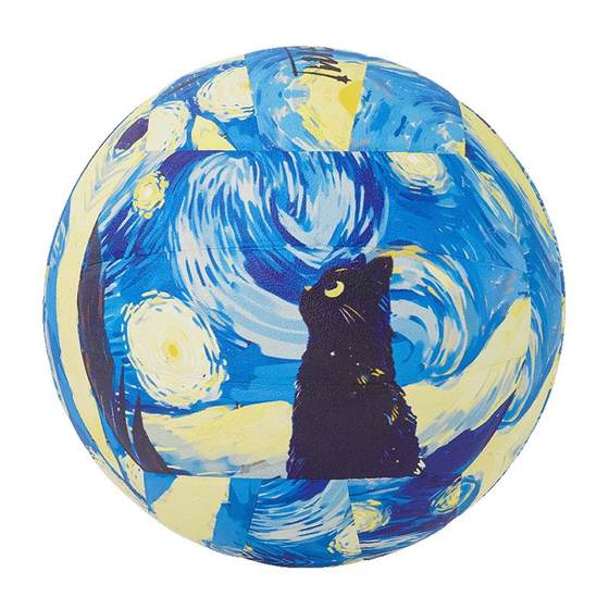 Crazy Starry Sky Black Cat Volleyball No. 5 High School Entrance Examination Students' Special Lettering Birthday Gifts for Men and Women Training Soft Skin Hard Row Crazy Starry Sky Black Cat Volleyball No. 5 High School Entrance Examination Students' Special Lettering Birthday Gifts for Men and Women Training Soft Skin Hard Row