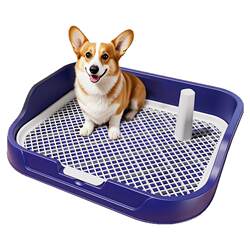 High fence dog toilet/anti-leakage and anti-spill High fence dog toilet/anti-leakage and anti-spill
