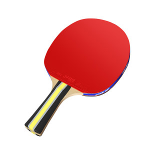 Red Shuangxi Table Tennis Rackets Genuine Official Children's Professional Primary School Students' Special Star-level Shooting Horizontal and Direct Shooting Beginners Set Red Shuangxi Table Tennis Rackets Genuine Official Children's Professional Primary School Students' Special Star-level Shooting Horizontal and Direct Shooting Beginners Set