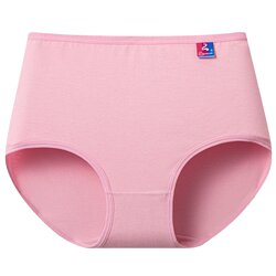Good posture women's underwear 6-pack plus size briefs Good posture women's underwear 6-pack plus size briefs