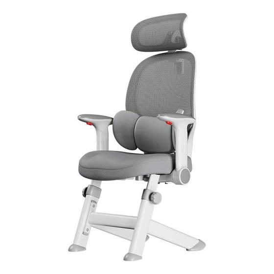 Xige x19Y waist protection learning chair for teenagers writing chair for junior and senior high school students and children's ergonomic chair Xige x19Y waist protection learning chair for teenagers writing chair for junior and senior high school students and children's ergonomic chair