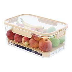 Portable double-layer crisper snack fruit storage box Portable double-layer crisper snack fruit storage box