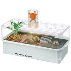 Ecological turtle tank automatically circulates and filters to send green plants Ecological turtle tank automatically circulates and filters to send green plants