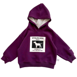 Boys' velvet cartoon sweatshirt 2025 autumn and winter Korean style children's clothing for small and medium-sized children and babies all-in-one velvet hooded top Boys' velvet cartoon sweatshirt 2025 autumn and winter Korean style children's clothing for small and medium-sized children and babies all-in-one velvet hooded top