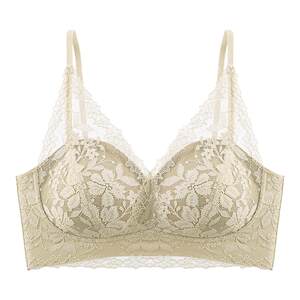 Sexy deep V French lace underwear for women with small breasts, push-up and sling straps, beautiful back, no trace, no rims bra 
Sexy deep V French lace underwear for women with small breasts, push-up and sling straps, beautiful back, no trace, no rims bra