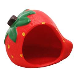 Strawberry House World Hermit Crabs Avoid Cave Pets Strawberry House World Hermit Crabs Avoid Cave Pets