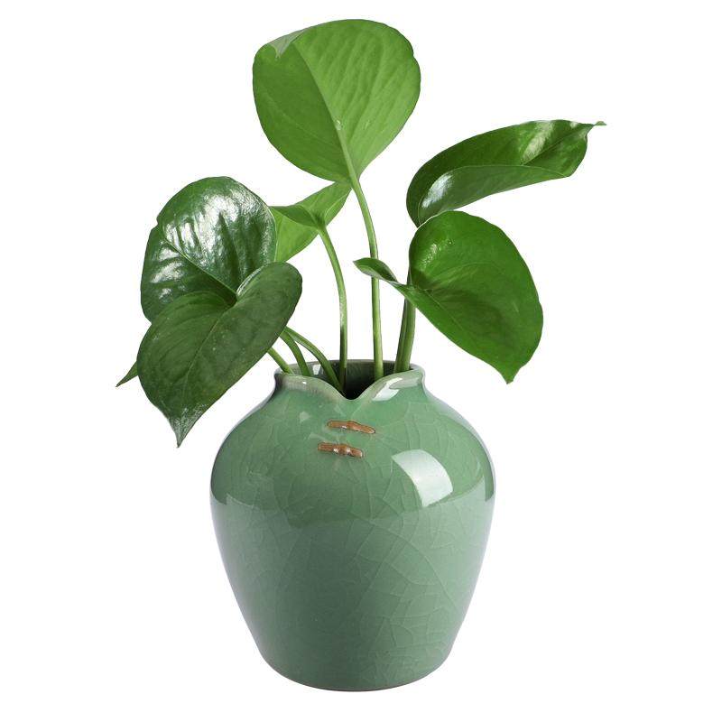 中国龍泉青磁の花入 高さ17cm 中国 中国古美術 中国竜泉窯 竜泉窯 青磁 貮口瓶 花器 花瓶 110 中国