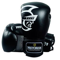 BN's new Sanda boxing gloves Beetle boxing gloves BN's new Sanda boxing gloves Beetle boxing gloves