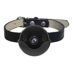 Pet cat and dog perspective halter camera video Pet cat and dog perspective halter camera video